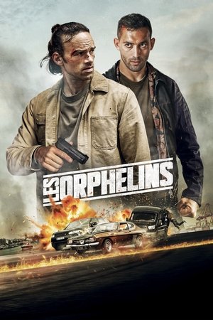Les Orphelins (2025) Hindi (MULTI AUDIO) – –