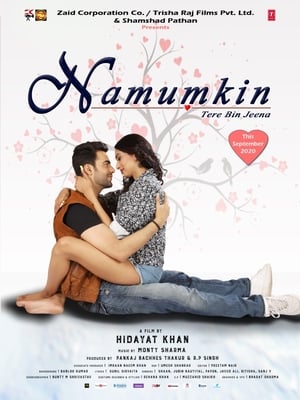 Namumkin Tere Bin Jeena 2020 Movie – [300MB]